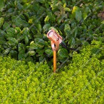 LuxR M1 LED Spike Spotlights - copper