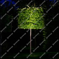 LuxR M2 LED Spike Spotlights with Glare Guard - copper