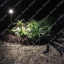LuxR M1 LED Wayfinder Path Lights - copper