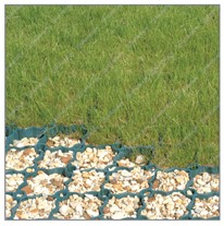 ACO GroundGuard Ground Reinforcement Tiles