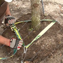 Gripple Tree Anchoring Kit (driven fixing) 