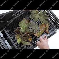 Oase BioSys Skimmer +