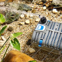 Oase Filtral UVC Filter Pumps