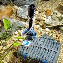 Oase Filtral UVC Filter Pumps