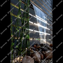 © 2018 CAG Photography Ltd. & Dave Green
